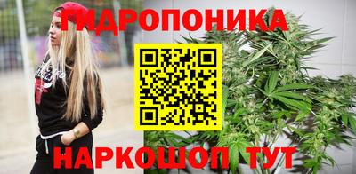 гидра Нарткала