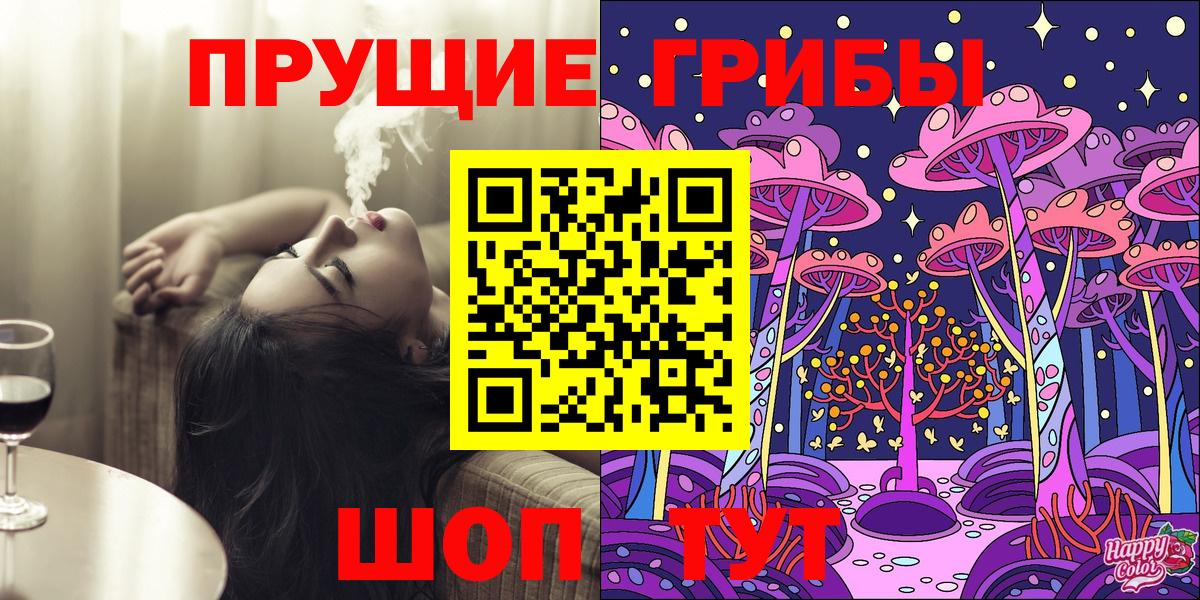 наркотики  Маркс  Псилоцибиновые грибы Psilocybe 