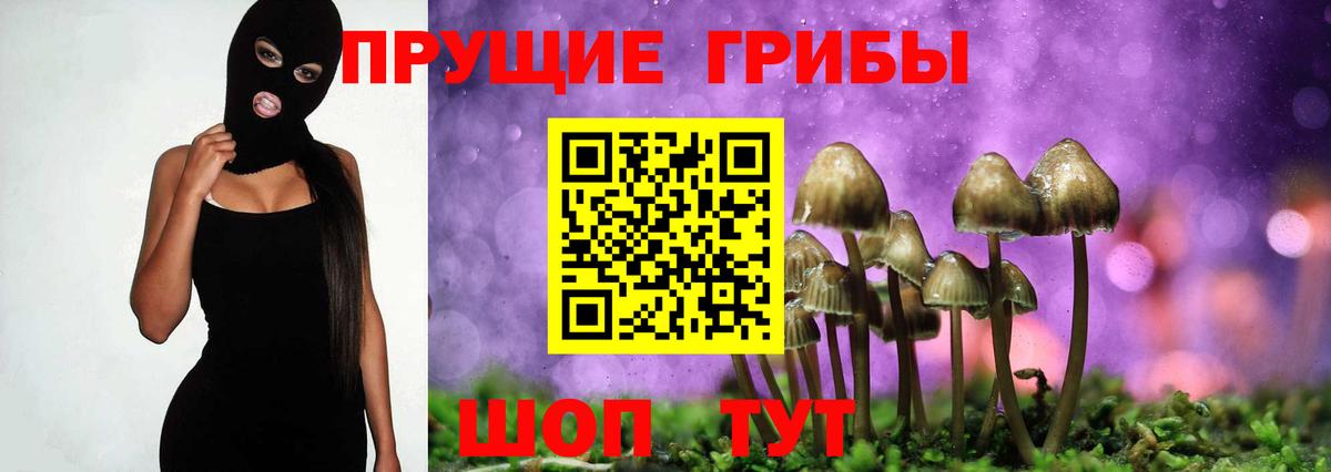 Галлюциногенные грибы ЛСД  Вход с VPN  Маркс  Галлюциногенные грибы GOLDEN TEACHER 