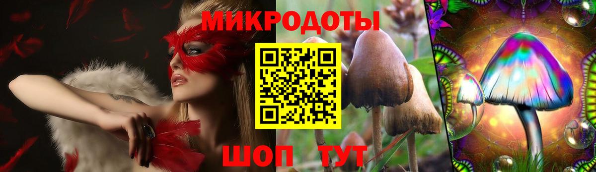 Галлюциногенные грибы Psilocybine cubensis Маркс
