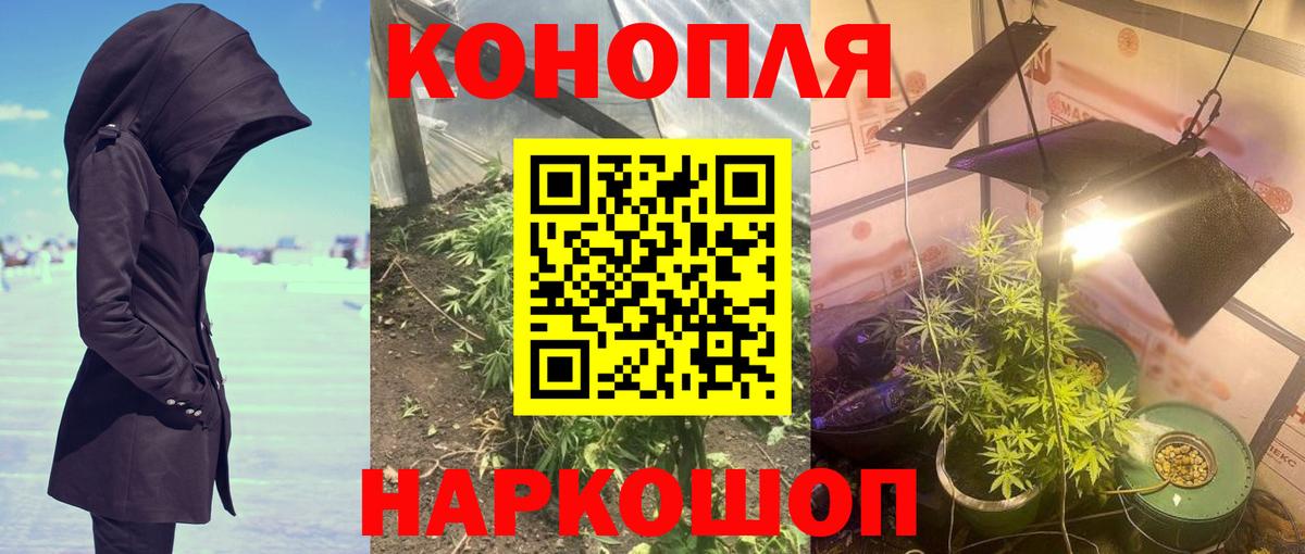 Марихуана OG Kush  МАРИХУАНА White Widow  Каннабис планчик  Маркс  Вход с VPN  Марихуана планчик 